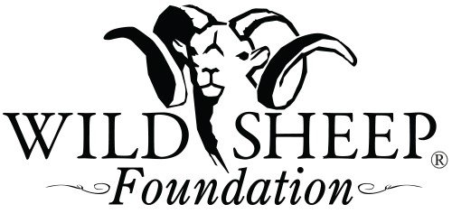 wild-sheep-foundation