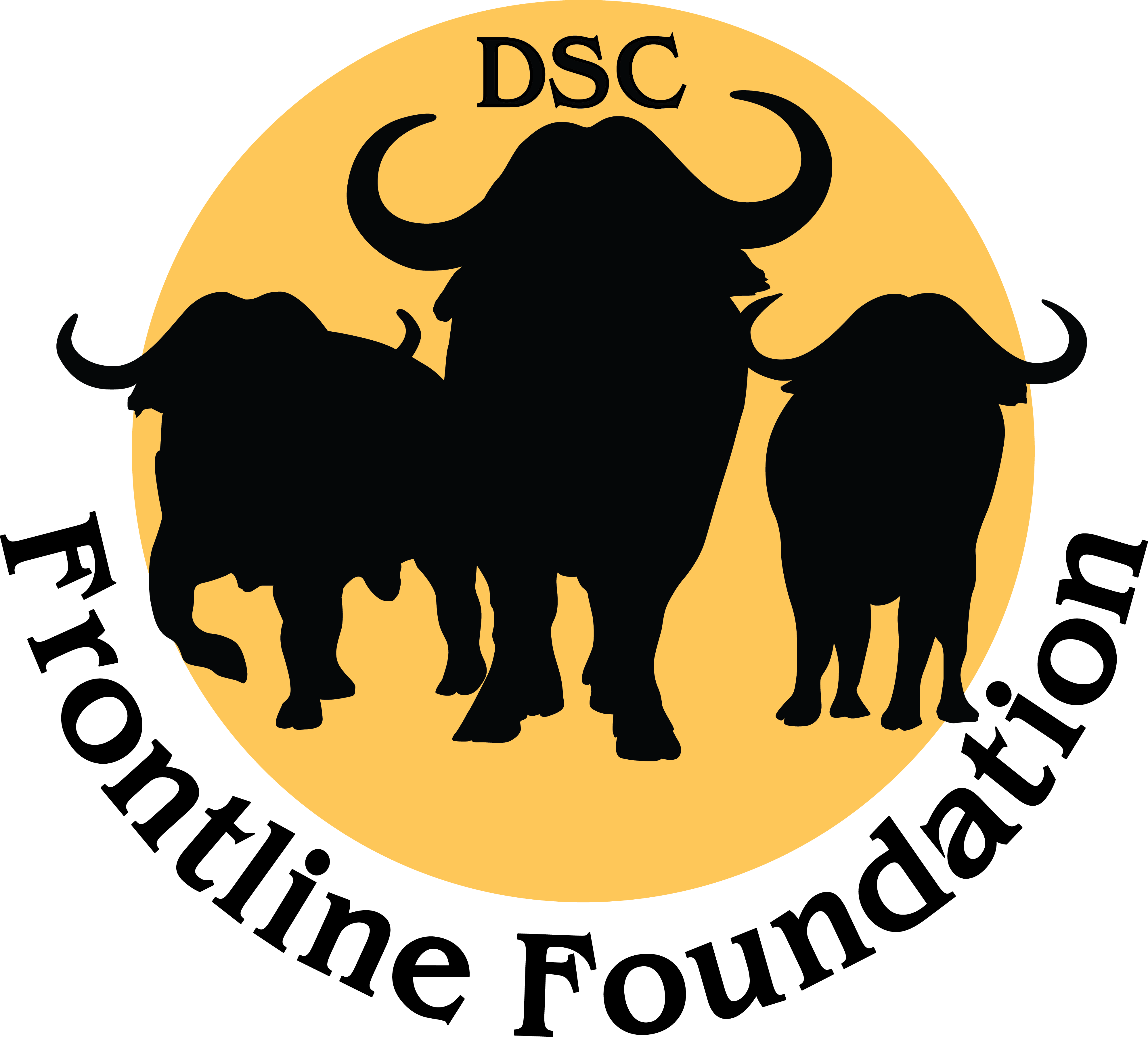 DSC Frontline Foundation Logo