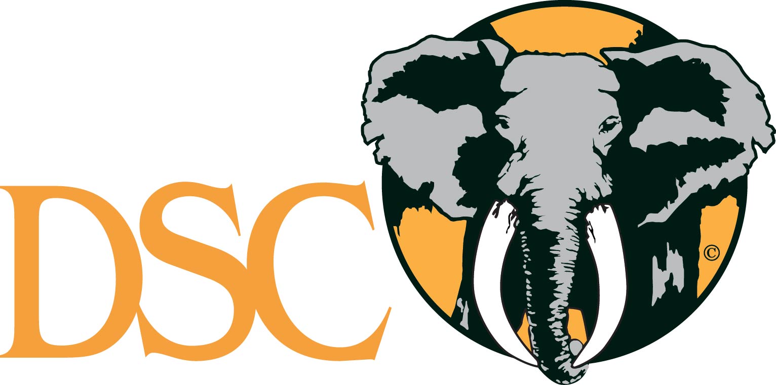 DSC logo 4