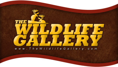 Wildlife Gallery