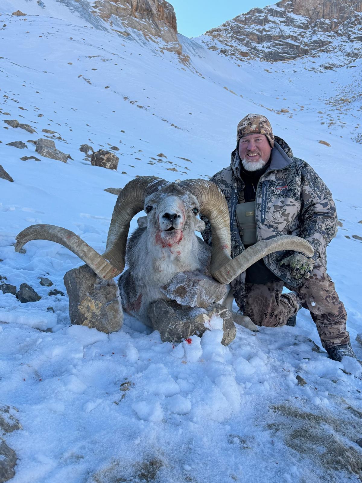 Marco Polo sheep hunt