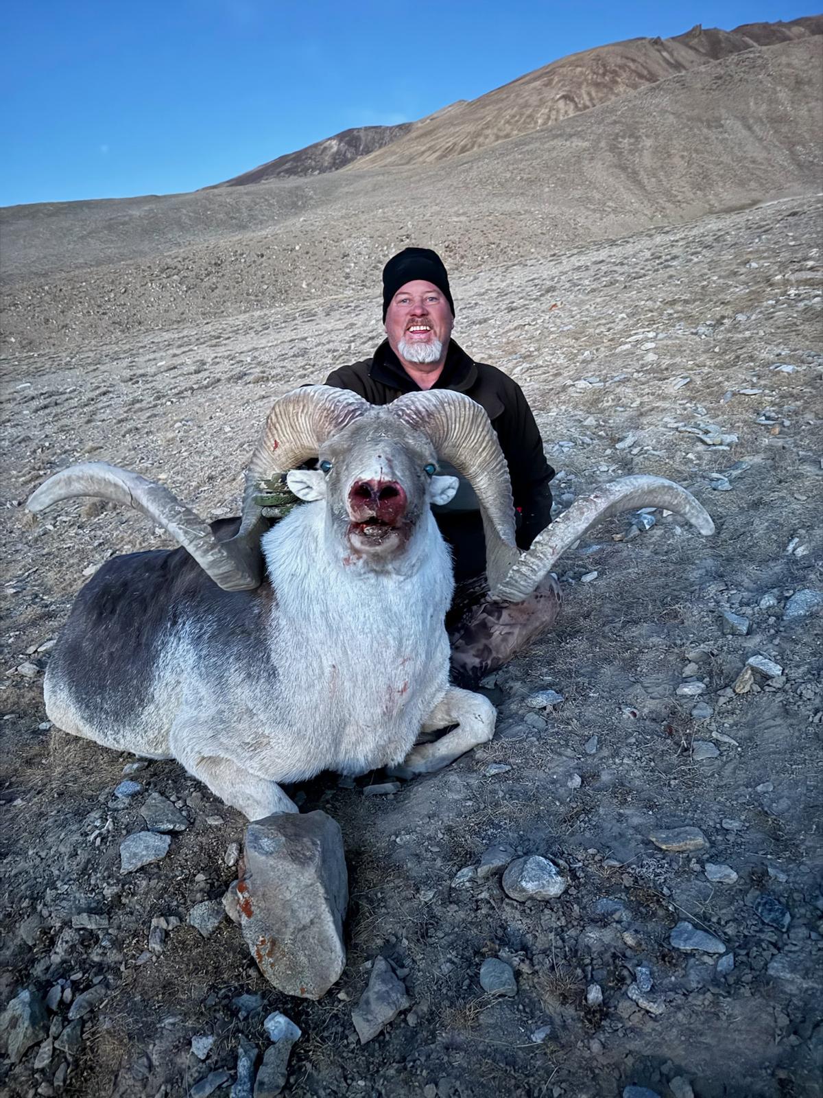 Marco Polo sheep hunt