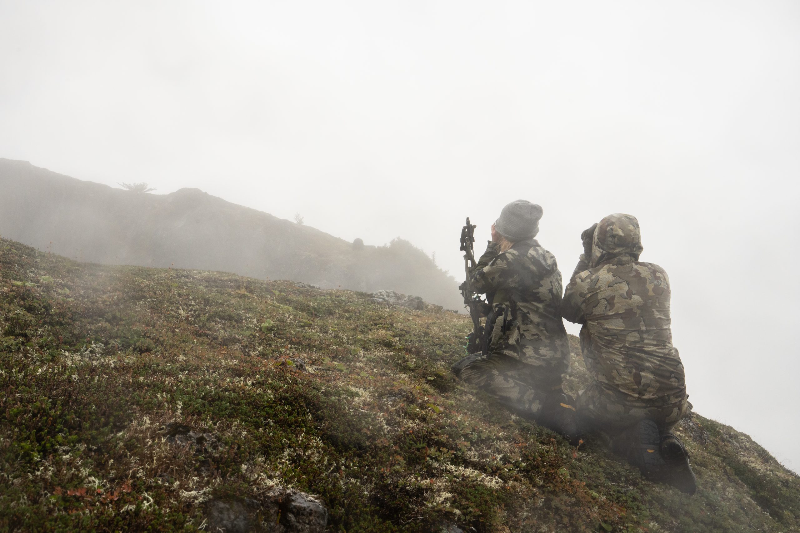 Alaska landscape